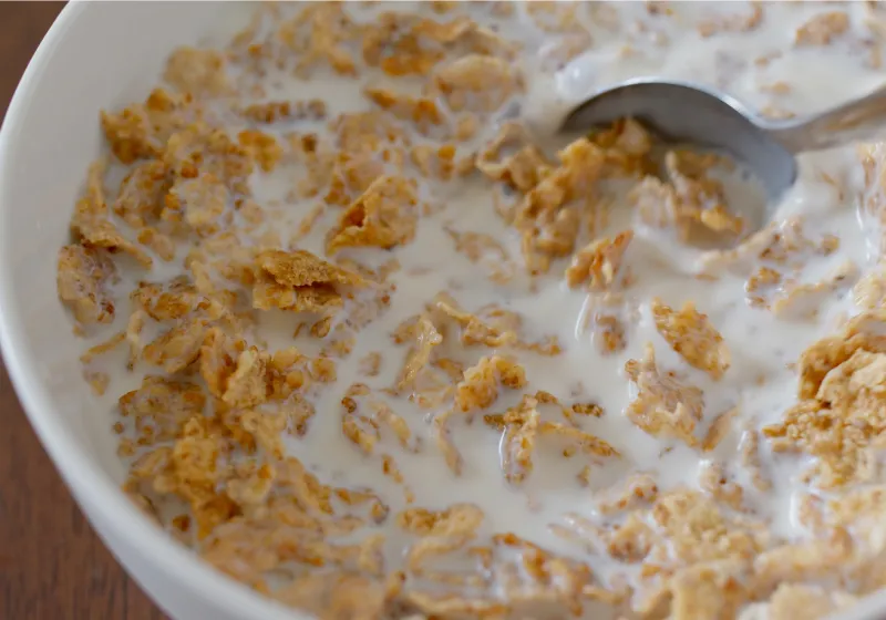 tigela com Cereal integral sem açúcar com leite desnatado